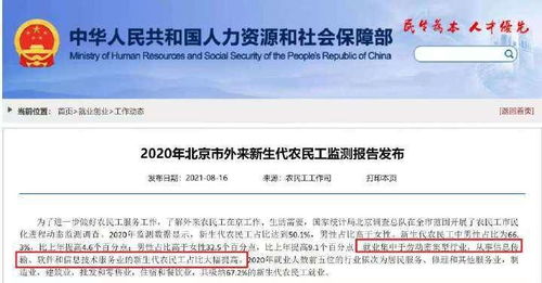北京軟件信息服務業(yè)新生代農(nóng)民工占比提升 人才結構新動態(tài)背后的機遇與挑戰(zhàn)