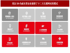 2017年中國管理軟件廠商云轉型現(xiàn)狀與趨勢分析
